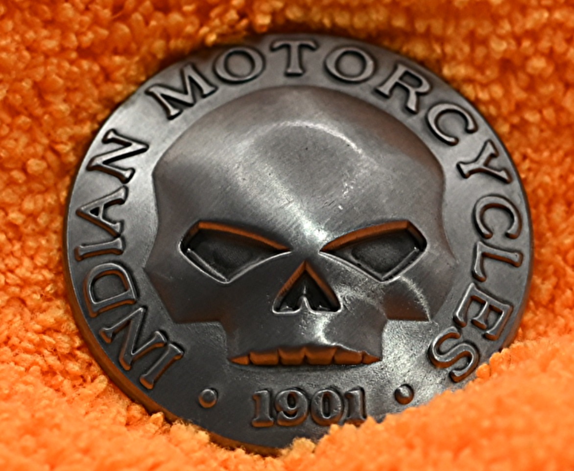 Modern Indian Skull Pin
