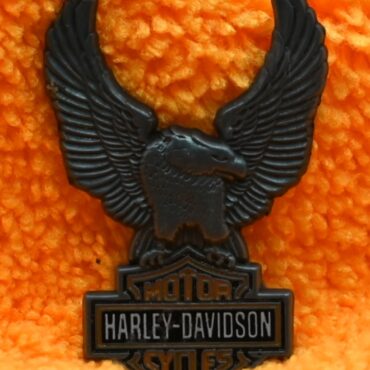 Harley Davidson Eagle Pin
