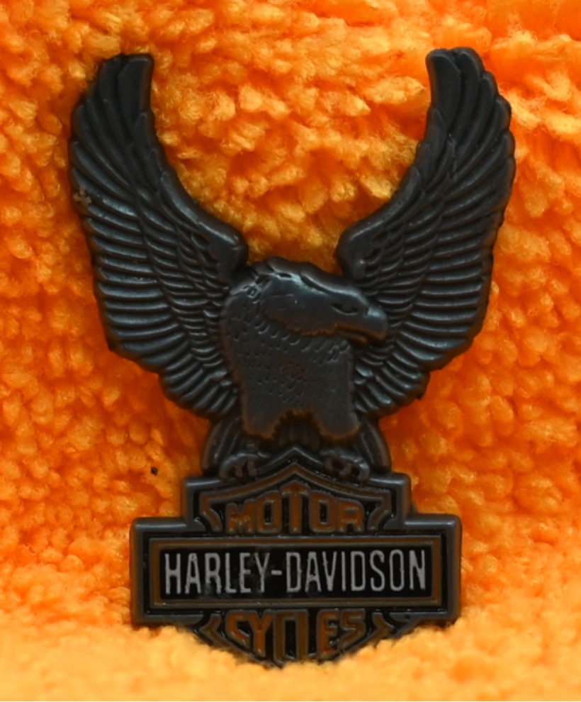 Harley Davidson Eagle Pin